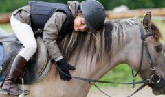 ponies-for-kids-sponsored