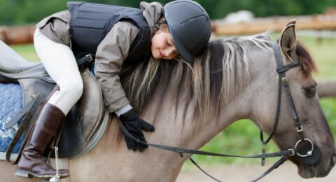 ponies-for-kids-sponsored